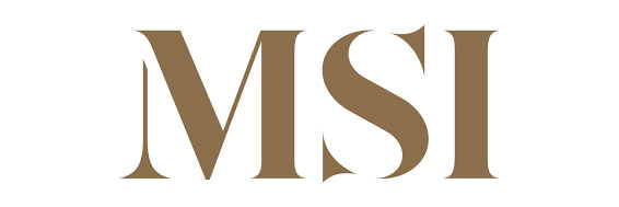 msi logo